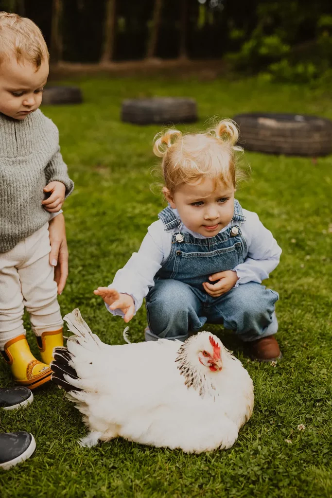 deux enfant en trai de carresser une poule