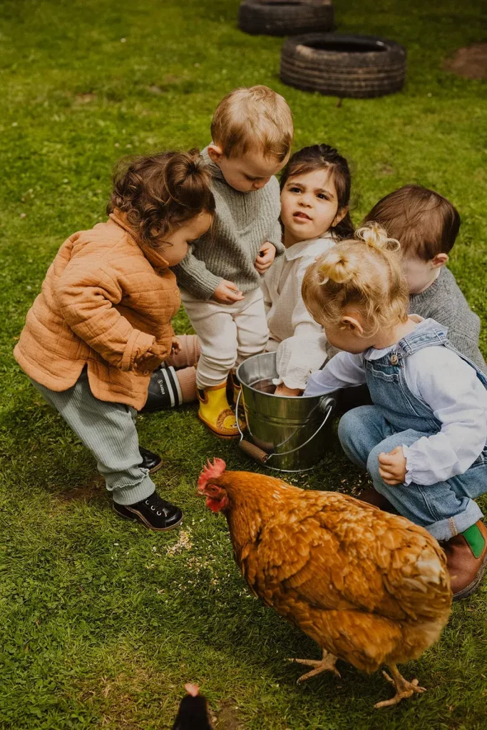 groupe d'enfants de la creche nourrissant les poules le matin